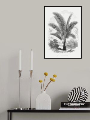 Vintage Palm Tree Drawing Vii