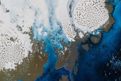 Marine inspired art - Persian Affair