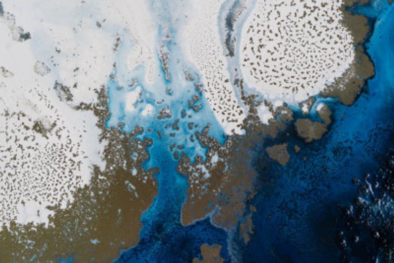 Marine inspired art - Persian Affair