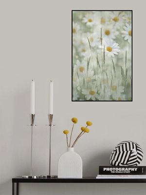 Delicate White Daisies