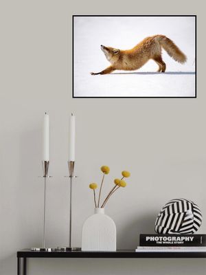 Melting Heart (Anahatasana)