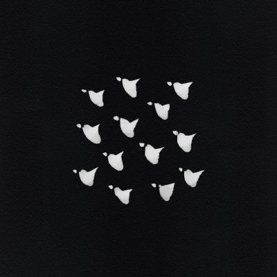 Birds In Flight   Flock Blackwhite