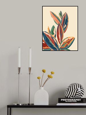 Mediterranean Botanical