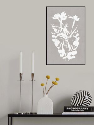 Botanical Illustration 1