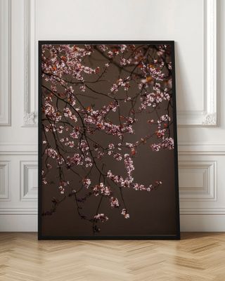 Soft Glowing Blossoms