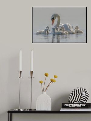 Mom is the whole world for babies.