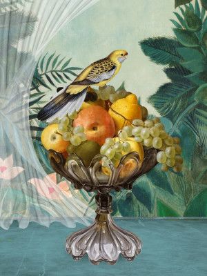 The Tropical Still Life