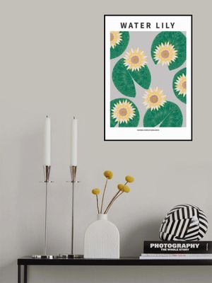 Water lily - National flower of Bangladesh