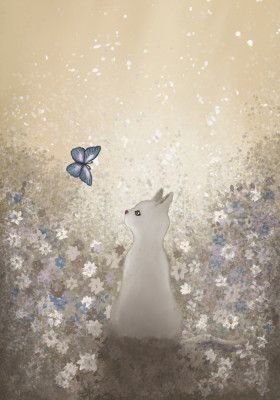 Cat meets butterfly