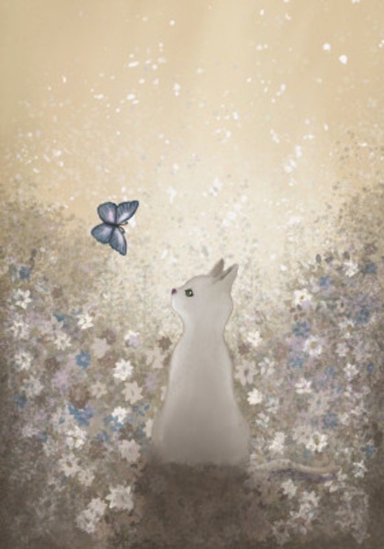 Cat meets butterfly