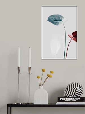 Monstera Creative 23