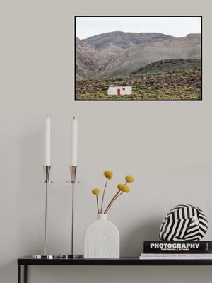 White House With A Red Door