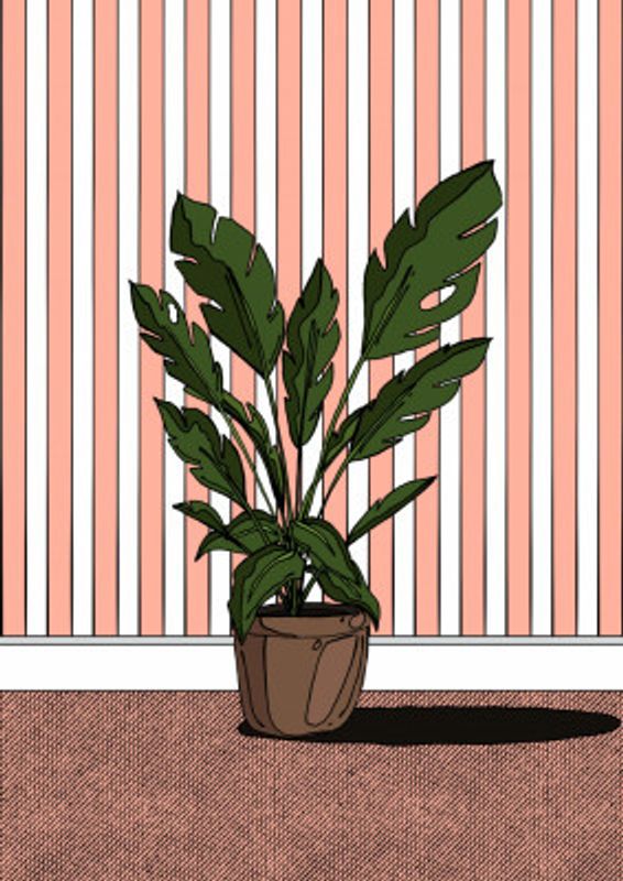 Potted Plant