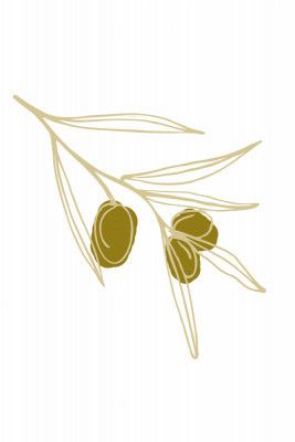 Olivebranchno03