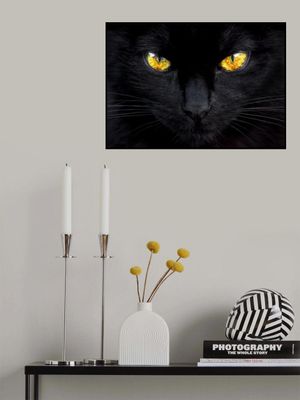 The hypnotist of the night