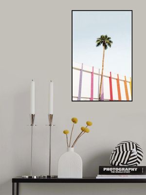 Palm Spring Colors 2