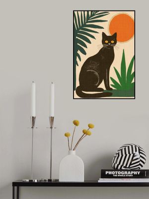 Midday Black Cat with Yellow Eyes