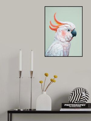 White Cockatoo No 1