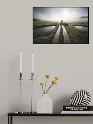 Into the foggy world