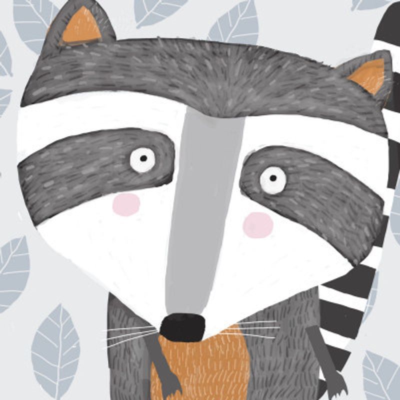 X Racoon Face2