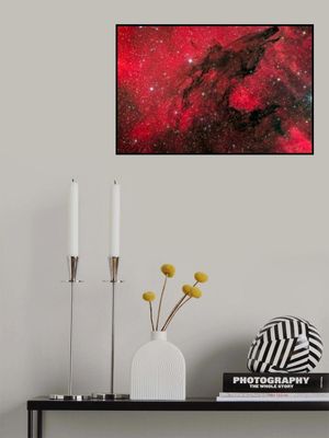 Hungry like the Wolf