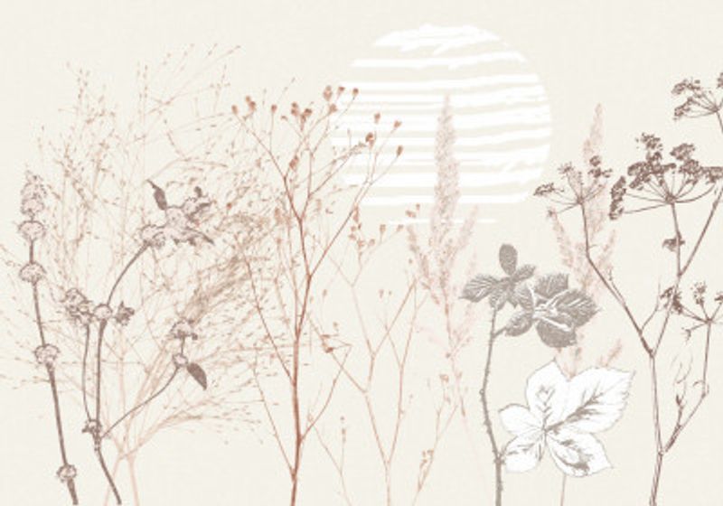 Plant based calming atmosphere earthy tones