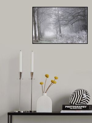 Foggy Winter Morning 1