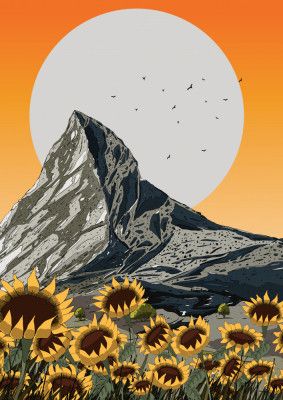 Mountain Sunflower Meadow