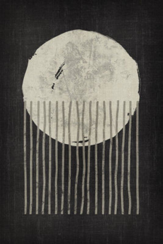 The Cool Round Jellyfish