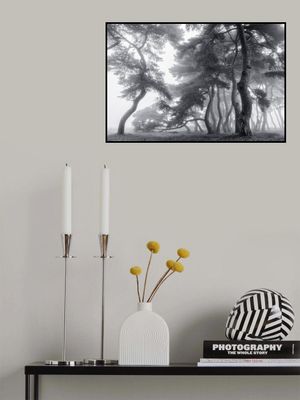 Endure for a hundred years