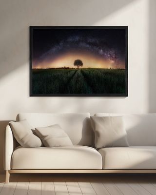 Milky way over lonely tree
