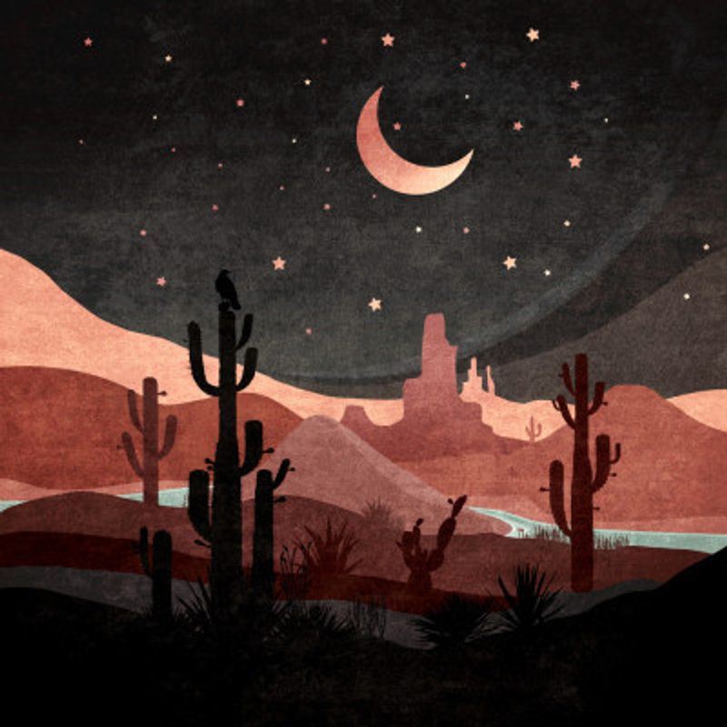 Desert Moon Dream