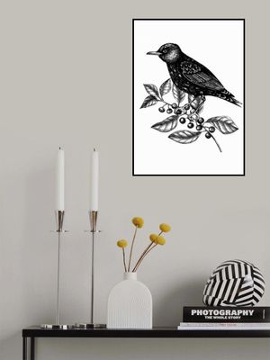 Wildlife Poster - Bird of the branch with black berries in vintage style