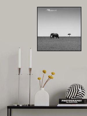 Elephant and the friendly cloud...