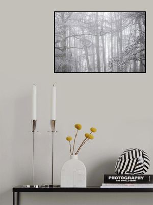 Foggy Winter Morning 2