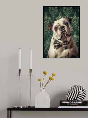 The Gentleman Bulldog