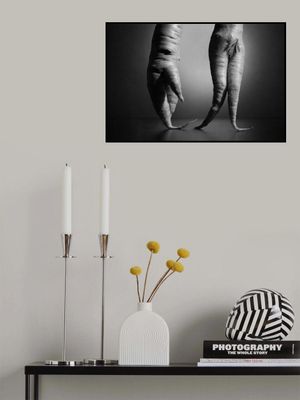 Just a still life photo with two carrots. Nothing else.