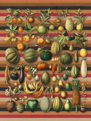 A Collection of Healthy Foods