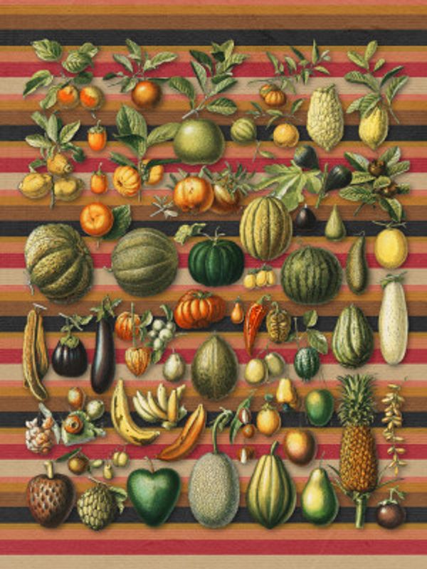 A Collection of Healthy Foods