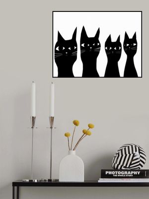 Four black cats