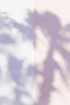 Las Vegas Palm Tree Shadows