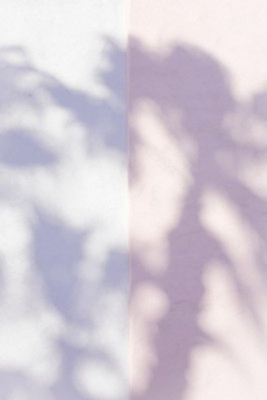 Las Vegas Palm Tree Shadows