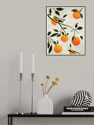 Oranges in Bloom