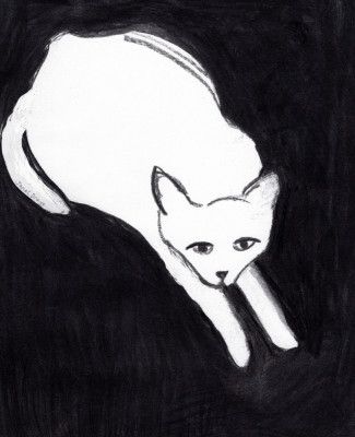 Minimalist White Cat