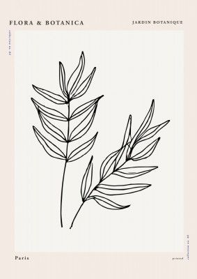 Florabotanicalineno01