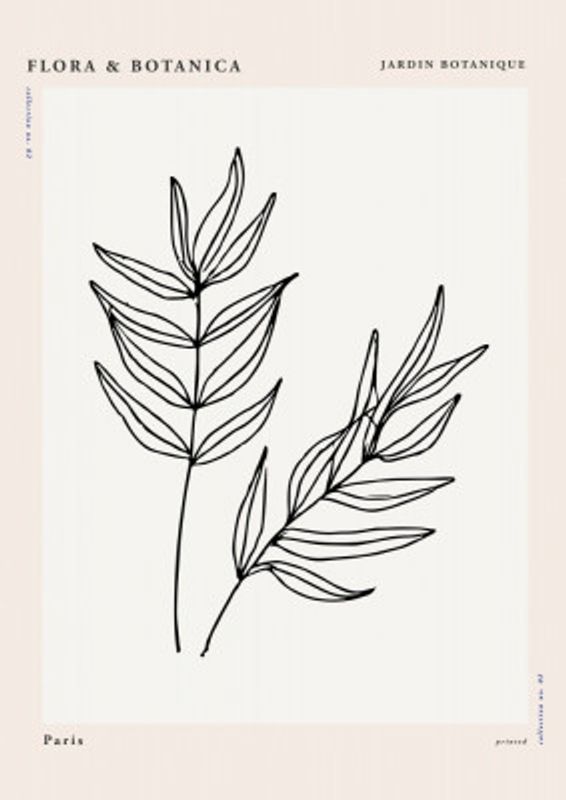 Florabotanicalineno01