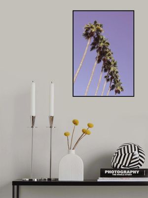 Las Vegas Palm Trees