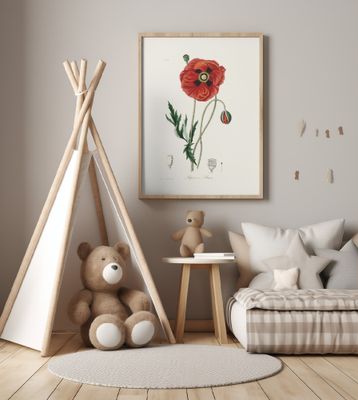 Common Poppy (papaver Rhoeas) Medical Botany