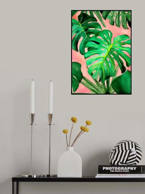 Monstera Large