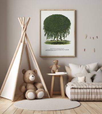 Kilmarnock Weeping Willow Tree Lithograph